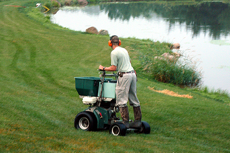 Man Spraying Pesticide in the Lawn — Salem, NH — Aspen Tree Service