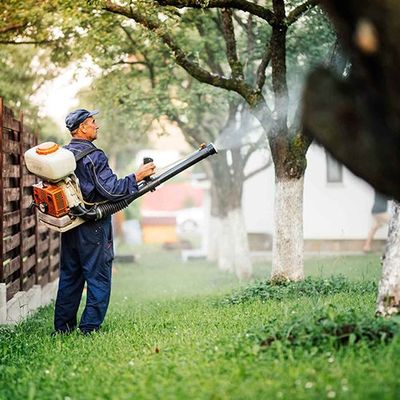 Mosquito & Tick Spraying — Salem, NH — Aspen Tree Service