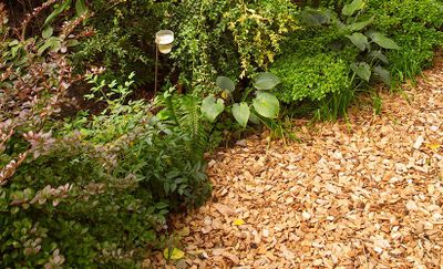 Mulch & Firewood — Salem, NH — Aspen Tree Service